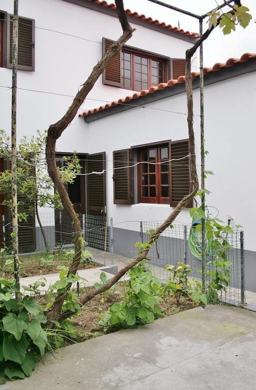Casa Azul Natura Ponta Delgada - Açores Exterior foto